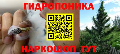 ПСИЛОЦИБИНОВЫЕ ГРИБЫ Бузулук