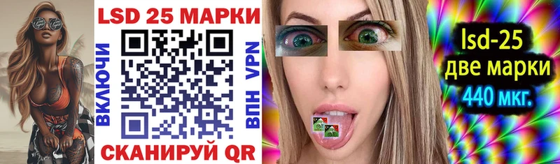 mega маркетплейс  купить наркотики сайты  Канаш  Марки NBOMe 1,8мг 