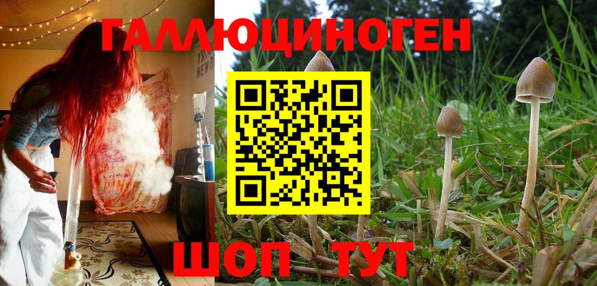 Галлюциногенные грибы мухоморы Канаш